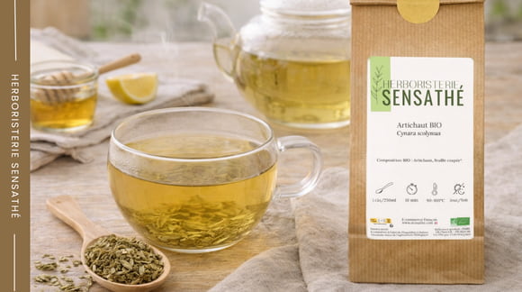 Tisane de feuilles d’artichaut diurétique préparée pour soutenir le drainage naturel de l’organisme - Herboristerie Sensathé